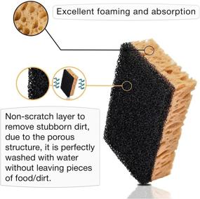 img 3 attached to 🧽 Almitra Co Kitchen Sponge in Vacuum Set - Multi-Use Non-Scratch Dish Sponge [10 Pack] for Nonstick Cookware, Stove, Fridge, Sink, and More - Scrub Sponges for House Cleaning