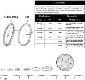 img 2 attached to 🔸 WBRWP 316L Stainless-Steel Piercing Ring Hinged Nose Hoop with Zircon/Opal - 14G 16G 18G 20g Body Piercing Ring, Segment Clicker Lip Rings, Cartilage Rook Earrings - 8mm 10mm Diameter