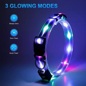 img 3 attached to 🐶 NPET Dog Collar: Rechargeable LED Collar with 3 Glowing Light Modes for Large, Medium & Small Dogs