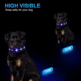 img 2 attached to 🐶 NPET Dog Collar: Rechargeable LED Collar with 3 Glowing Light Modes for Large, Medium & Small Dogs