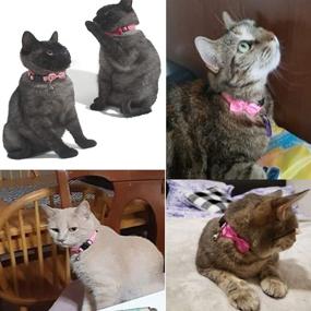 img 1 attached to 🐱 Enhance Your Cat's Style and Safety with ZBLGO Cat Collars — 5PCS with Bells