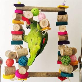 img 1 attached to Enhance Your Bird's Playtime with Bonaweite Extra Large Bird Chewing Swing Toy - Perfect for Macaws, Budgies, Parakeets, Cockatiels, and More!