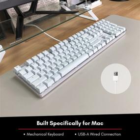 Macally Backlit Mechanical Keyboard For Mac- Usb Wired Full Size-  Compatible with Apple Mac Mini, Imac, Macbook Pro Air- Brown Switches  (white) in the Computers & Peripherals department at