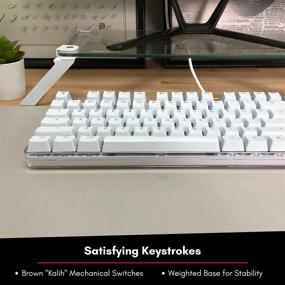 img 2 attached to 🔑 Macally Подсветка механической клавиатуры с коричневыми переключателями: идеальная Mac-клавиатура для Pro/Mini, iMac, iMac Pro, MacBook Pro/Air - Полный размер & Проводная USB - Совместимость с Apple