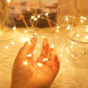 img 1 attached to 🔋 24-Pack Fairy Lights Battery Operated, EHWINE LED Fairy Lights for Bedroom, 7ft 20 LED Battery String Lights, Waterproof Firefly Lights for DIY Wedding Party Christmas Decor, Warm White