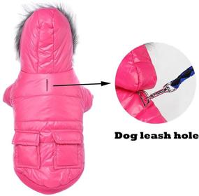 img 2 attached to 🐶 Winter Dog Coat: Puppy Jacket with Waterproof Hoodie and Windproof Snowsuit for Cats - Enjoy the Winter!