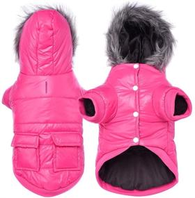 img 3 attached to 🐶 Winter Dog Coat: Puppy Jacket with Waterproof Hoodie and Windproof Snowsuit for Cats - Enjoy the Winter!