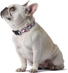 img 1 attached to 🐶 Peanuts Snoopy Dog Collar - Officially Licensed Red and White Peanut Snoopy Collar for Dogs