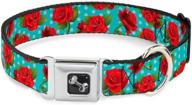 red roses and polka dots turquoise dog collar seatbelt buckle, 9-15 inches, 1.0 inch width logo