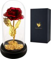 🌹 beauty and the beast rose: christmas birthday gift, 24k gold foil rose in glass dome with lights for wife, enchanted glass rose décor, ideal for home, party, wedding anniversary logo