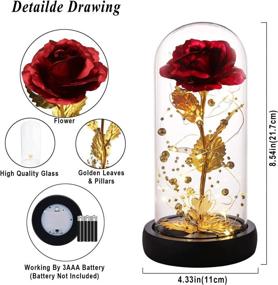 img 2 attached to 🌹 Beauty and The Beast Rose: Christmas Birthday Gift, 24K Gold Foil Rose in Glass Dome with Lights for Wife, Enchanted Glass Rose Décor, Ideal for Home, Party, Wedding Anniversary
