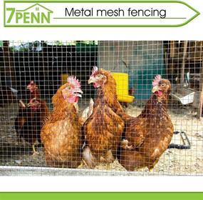 img 1 attached to 🐔 7Penn Small Chicken Wire Fencing Wire Mesh Screen Roll - Premium Garden Netting, 1/2in x 36in x 100ft