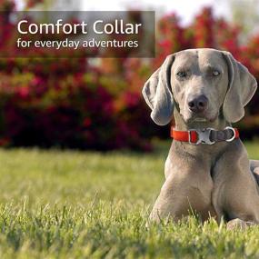 img 1 attached to Cotton Dog Collar - Soft Comfortable Strap with Metal D-Ring and Buckle - Adjustable Collar for Small, Medium, Large Dogs - Fits All Breeds