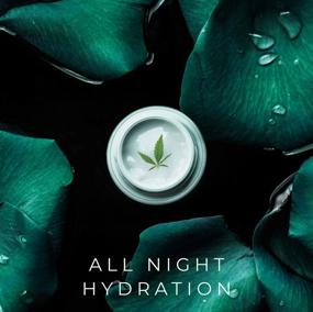 img 3 attached to 🌿 O Naturals Organic Hemp Oil Night Cream – Hydrating Face Moisturizer with Hyaluronic Acid. Anti Aging Cream for Face & Neck. Hydrates Dry Skin, Reduces Wrinkles, Boosts Collagen. Women & Men Skincare 1.7oz