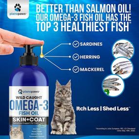 img 1 attached to 🐟 Omega 3 Fish Oil for Cats: Superior to Salmon Oil - Essential Kitten + Cat Vitamins, Supplements, and Health Supplies - Ideal Cat Dandruff Treatment - Liquid Fish Oil for Pets - Effective Cat Shedding Products