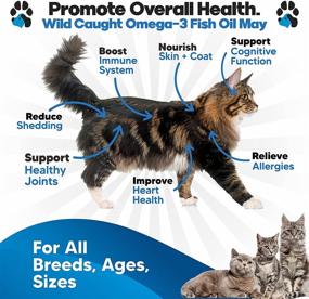 img 3 attached to 🐟 Omega 3 Fish Oil for Cats: Superior to Salmon Oil - Essential Kitten + Cat Vitamins, Supplements, and Health Supplies - Ideal Cat Dandruff Treatment - Liquid Fish Oil for Pets - Effective Cat Shedding Products