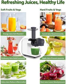 img 2 attached to 🥤 Aeitto Slow Masticating Juicer: BPA Free, Easy to Clean Cold Press Extractor