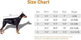 img 3 attached to 🐶 DroolingDog Pet Dog Winter Jackets: Stylish Bow Knot Waterproof Coat for Small Dogs