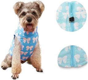 img 4 attached to 🐶 DroolingDog Pet Dog Winter Jackets: Stylish Bow Knot Waterproof Coat for Small Dogs