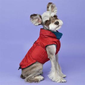 img 1 attached to Puppia Tomas Winter Vest RED
