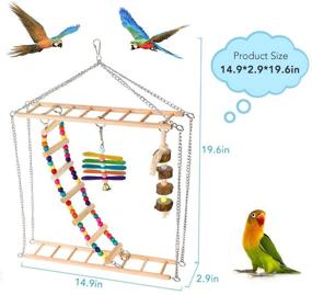 img 2 attached to 🐦 Подвижная игрушка для птиц AAG Ladders Swing: Большая средняя жевательная игрушка из натурального дерева для вольера попугая с колокольчиками - идеально подходит для маленьких попугайчиков, кокатилей, конюр, ара и кокату.