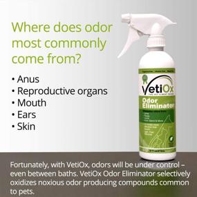 img 2 attached to 🐾 16 oz Trigger Spray Bottle - VetiOx Odor Eliminator, Veterinarian Strength Pet Odor Destroyer