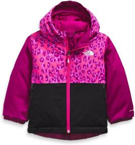 img 3 attached to Детская зимняя куртка The North Face Toddler Snowquest с утеплителем: первоклассная защита и тепло для вашего маленького исследователя!