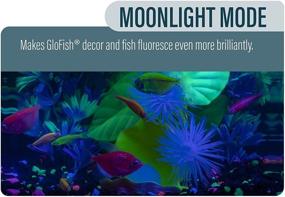 img 1 attached to GloFish Betta Shadowbox Aquarium Kit: Transform your Betta's Home