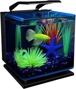 img 4 attached to GloFish Betta Shadowbox Aquarium Kit: Transform your Betta's Home