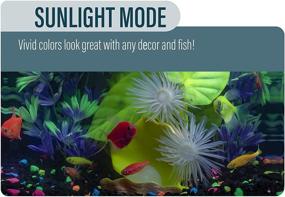 img 2 attached to GloFish Betta Shadowbox Aquarium Kit: Transform your Betta's Home