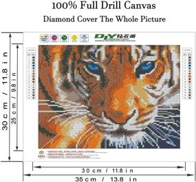 img 3 attached to Наборы для укладки бриллиантов "🐅 AIRDEA тигр": 5D полное сверление круглого бриллиантового искусства для детей и взрослых - рукоделие по нанесению камней-вышивка крестом