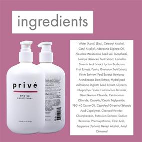 img 2 attached to 💁 Privé Amp Up Conditioner – Volumizing Conditioner with Baobab Protein – Infuse Hair with Weightless Volume, Shine, and Detangle Knots (16 oz)