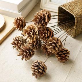 img 1 attached to Holiday Joy with JOHOUSE Natural Pine Cones: Festive Rustic Pinecone Fall Garland & Tree Ornaments for Christmas, Halloween, and Thanksgiving Decorations - Set of 18 PCS