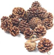 holiday joy with johouse natural pine cones: festive rustic pinecone fall garland & tree ornaments for christmas, halloween, and thanksgiving decorations - set of 18 pcs logo