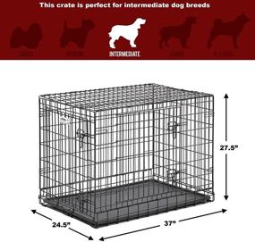 img 1 attached to 🐾 Ultima Pro Professional Series - Extra Strong MidWest Dog Crate: Durable Double Door Folding Metal Crate with Divider Panel, Roller Feet for Floor Protection, and Leak-Proof Plastic Pan