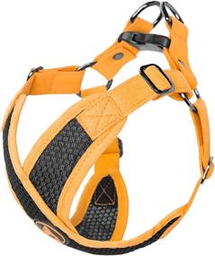 img 3 attached to 🐾 Gooby Active X Step-in Harness: Choke-Free Small Dog Harness with Soft Synthetic Lambskin Strap