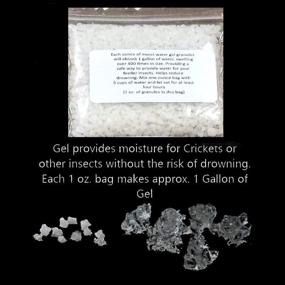 img 3 attached to 🏏 G&amp;T Cricket and Dubia Roach Chow (2 Lbs) - (1 Oz.) Packet of Water Gel Crystals for Country Living
