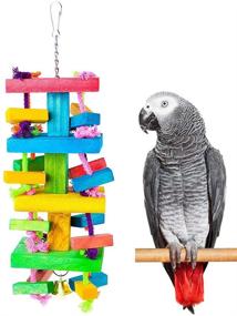 img 4 attached to 🦜 Colorful Knots African Grey Wooden Block Chew Toys for Small and Medium Parrots and Birds - Dono Parrot Knots Blocks with Multiple Biting Features