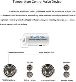 img 3 attached to 🔋 Long-lasting POWEROWL 10000mAh Ni-MH D Rechargeable Batteries - Low Self Discharge (Pack of 2)