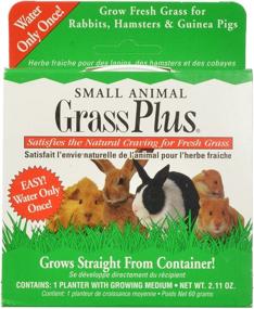 img 3 attached to 🌱 Miraclecorp/Gimborn Small Animal Grass Plus - 60g: Enhance Your Pet’s Diet
