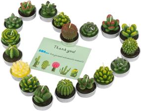 img 3 attached to 🌵 Exquisite AMASKY Handmade Succulent Cactus Candles: Ideal for Birthday Party, Wedding, Spa, and Home Décor (18 Packs)