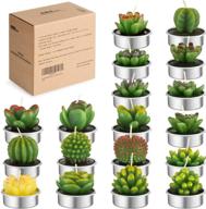 🌵 exquisite amasky handmade succulent cactus candles: ideal for birthday party, wedding, spa, and home décor (18 packs) logo