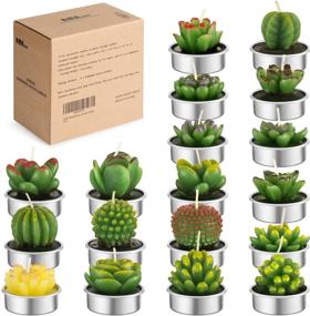 img 4 attached to 🌵 Exquisite AMASKY Handmade Succulent Cactus Candles: Ideal for Birthday Party, Wedding, Spa, and Home Décor (18 Packs)