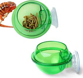 img 3 attached to Anti-Escape Reptile Cup: The Ultimate Translucent Home Pet Feeder for Tortoise, Gecko, Snakes, and Iguana