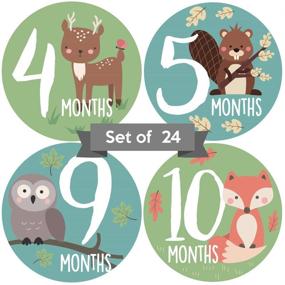 img 4 attached to Woodland Creatures Baby Monthly Stickers - Animal Milestone Stickers for Newborn Boys or Girls, Gender Neutral Monthly Milestone Stickers Set of 24