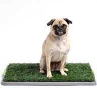 🐾 potty patch dog grass pad: indoor dog potty for dogs under 15lbs with tray and fake grass" logo