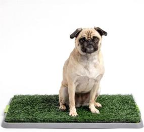 img 4 attached to 🐾 Potty Patch Dog Grass Pad: Indoor Dog Potty for Dogs Under 15lbs with Tray and Fake Grass"