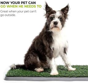 img 2 attached to 🐾 Potty Patch Dog Grass Pad: Indoor Dog Potty for Dogs Under 15lbs with Tray and Fake Grass"