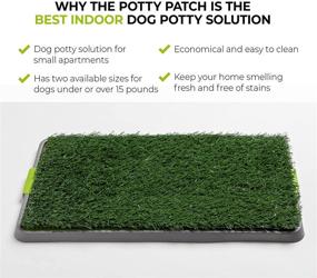 img 1 attached to 🐾 Potty Patch Dog Grass Pad: Indoor Dog Potty for Dogs Under 15lbs with Tray and Fake Grass"