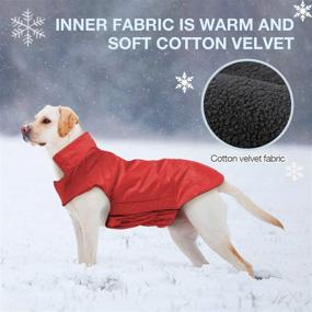 img 3 attached to 🐶 Premium Waterproof Dog Raincoat: Stylish Winter Dog Coat & Jacket for Medium to Large Dogs